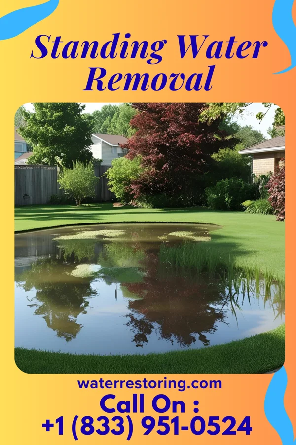 Standing Water Removal in Leominster, MA